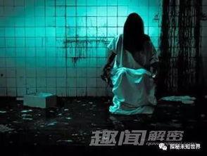 娱乐吃瓜酱鬼屋给钱